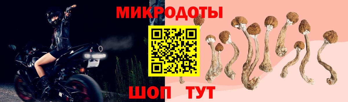 Галлюциногенные грибы мухоморы  Вход с VPN  Котлас  Галлюциногенные грибы MAGIC MUSHROOMS 