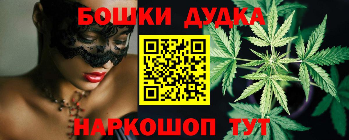 Шишки марихуана SATIVA & INDICA  Вход с VPN  Котлас  Канабис план  МАРИХУАНА White Widow 